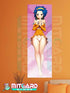FAIRY TAIL Levi McGarden wall scroll fabric or Adhesive Vinyl poster - Vinil poster GLOSSY / 50cm x 150cm - 2